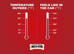 Temperature Chart Dogs in Cars